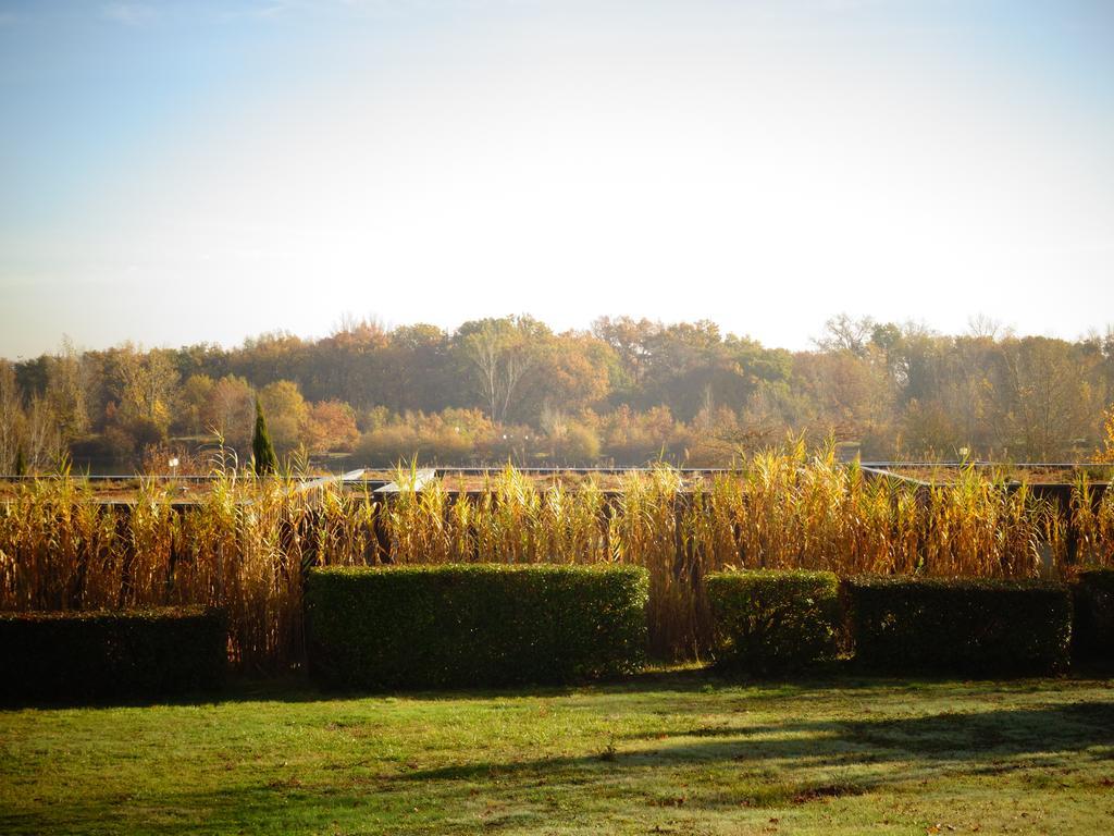 Domaine D'Ariane Mondonville Exterior foto